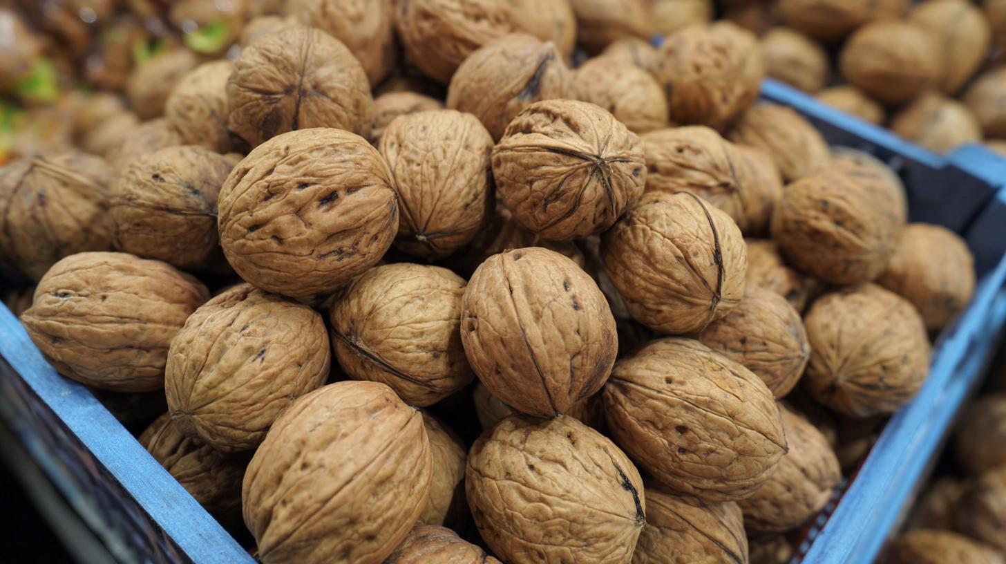 All About Georgian Walnuts: Quality, Storage, and Use. Ways to Use Georgian Walnuts