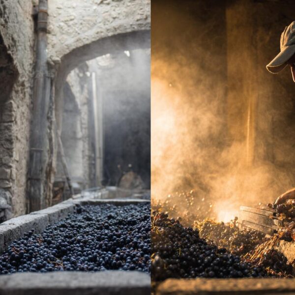 Qvevri vs. Modern Winemaking: Exploring the Intersection of Tradition and Innovation