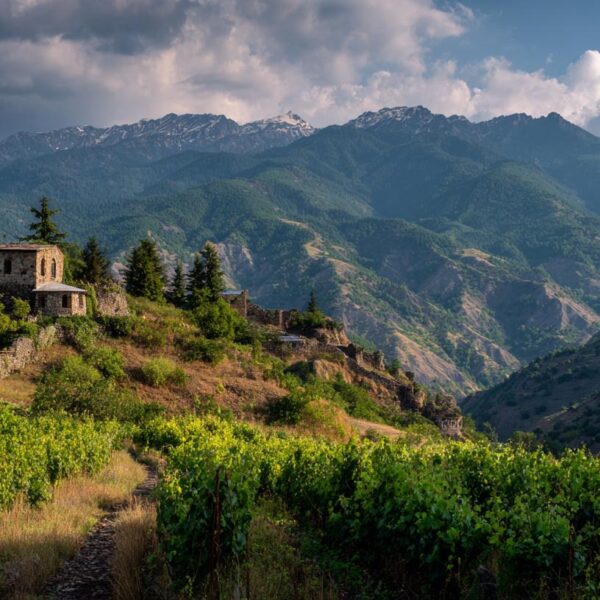 Must-Try Georgian Wines: Exploring the Rich Heritage and Flavors